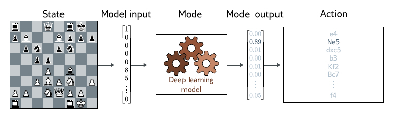 policy network example